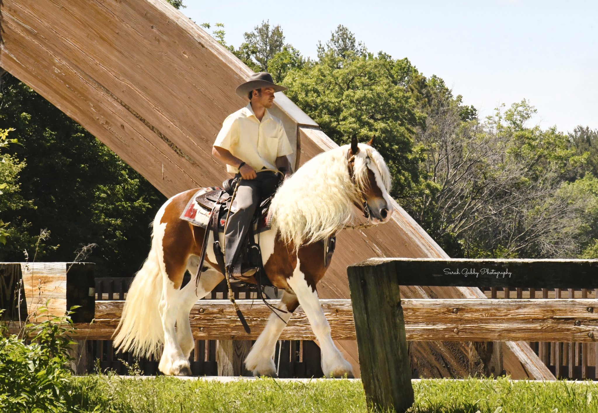 Trigger - 14.2hh Tri Coloured Gypsy x Haflinger @Saddle Mountain Elite Horses